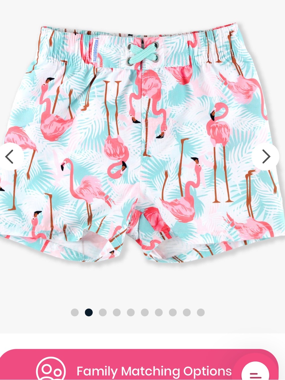 Rugged Butts Flamingo Print Swim Shorts - 3T